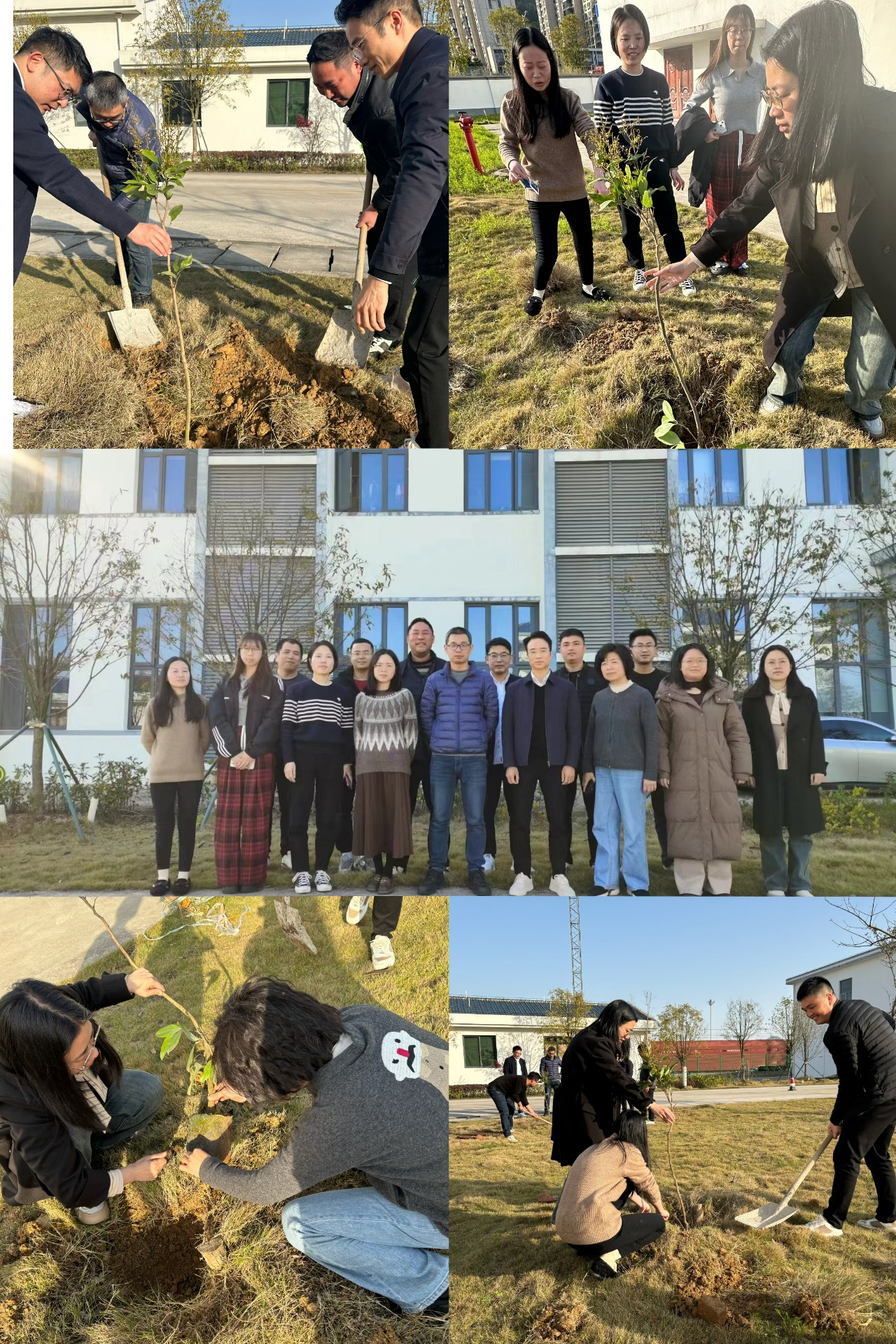 2024-3-12綠色陸港，美麗寧德，阮克妙拍攝.jpg
